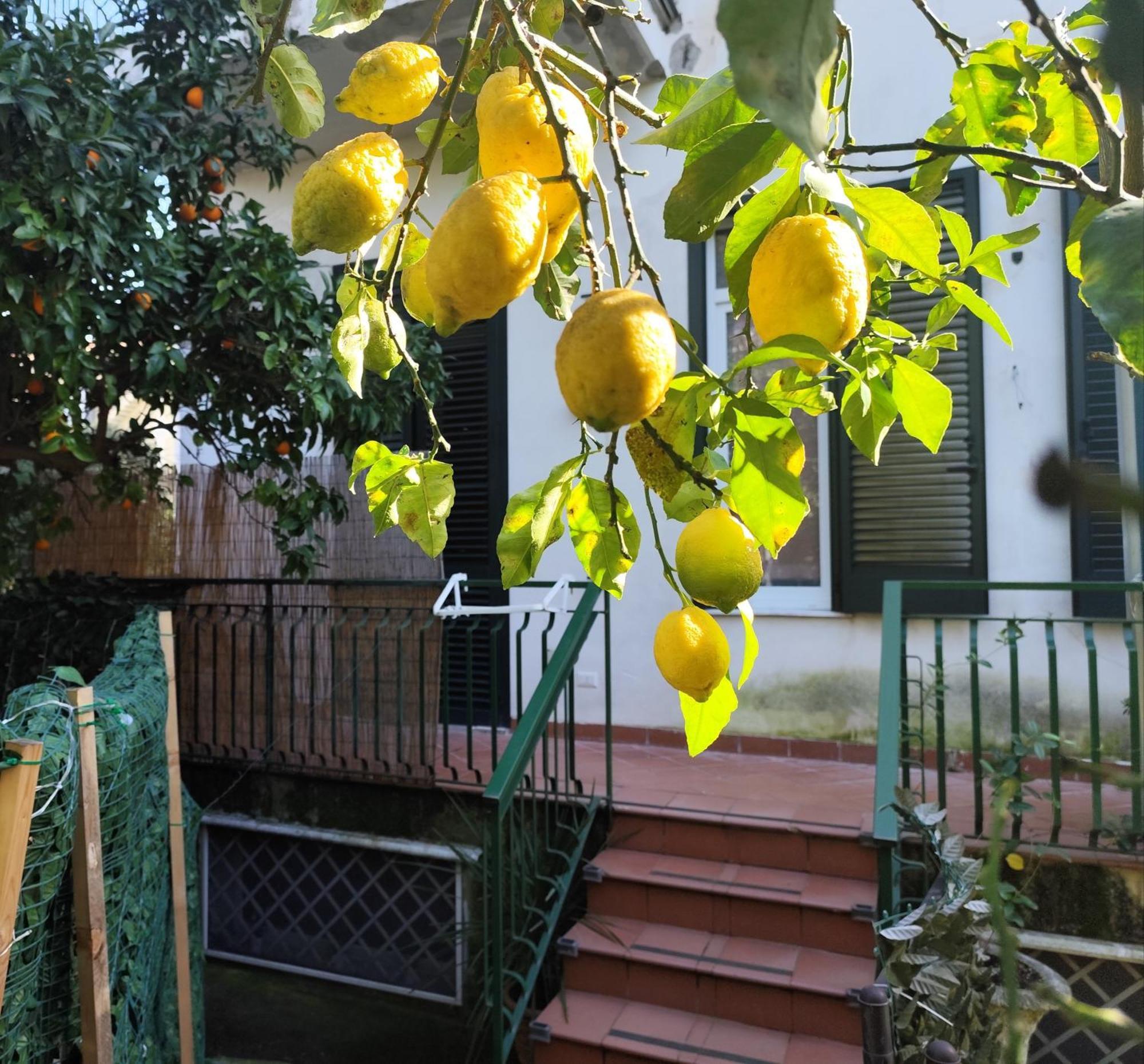 Beatrice Room Bed&Breakfast Sant'Agnello Exterior photo